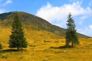 Transalpina