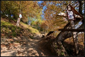 The Path to Cetatuia