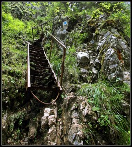 Cetatile Ponorului - Way Out