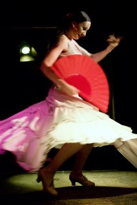 Flamenco Dancer