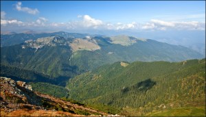 web-capatanii-preview