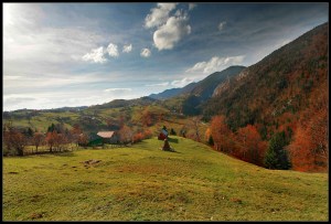 Pestera Surroundings