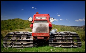 Stranded in the middle of summer