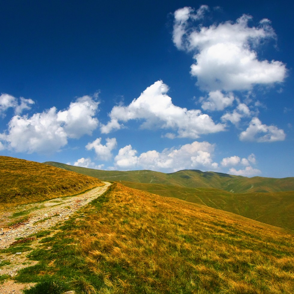 Leaota - HD wallpaper (road towards)