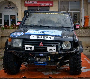 What a champion looks like