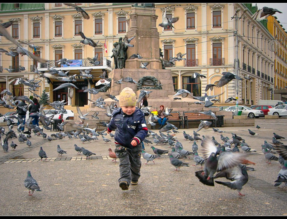 Child chases after pigeons in Iasi, Romania