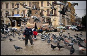 Child chases after pigeons in Iasi, Romania