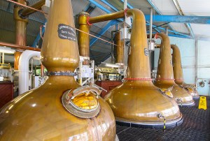 laphroaig - 013 - distillation stills