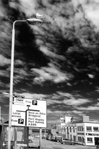 bowmore - 010 - seagull in the center - B&W