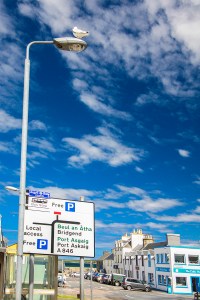 bowmore - 010 - seagull in the center - color